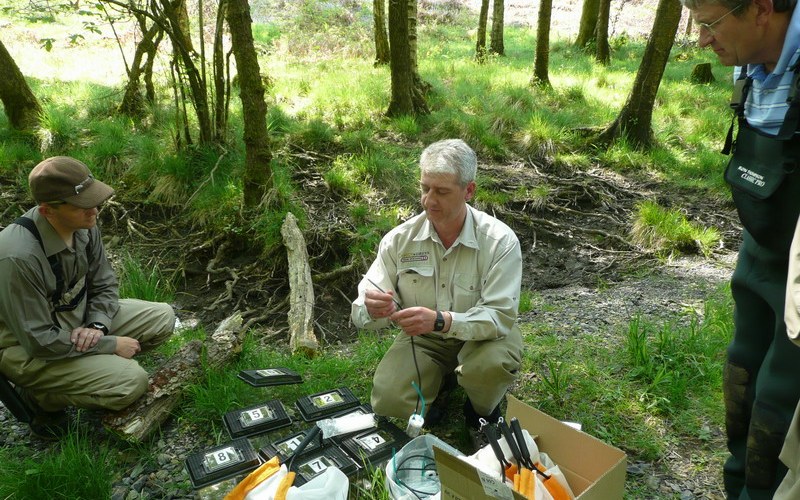 Entomology for anglers courses
